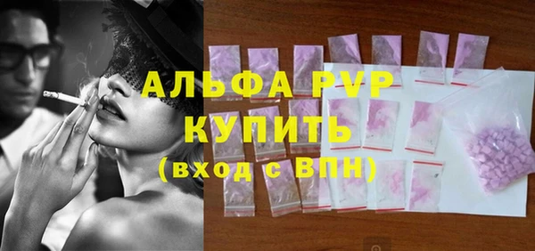 амф Новозыбков
