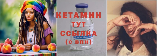 амф Новозыбков