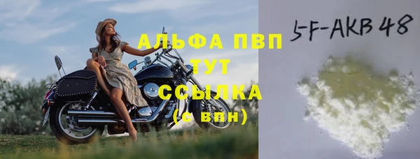 амф Новозыбков