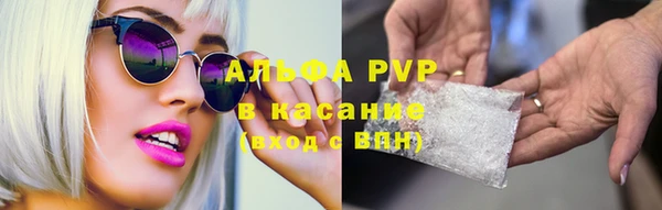 амф Новозыбков