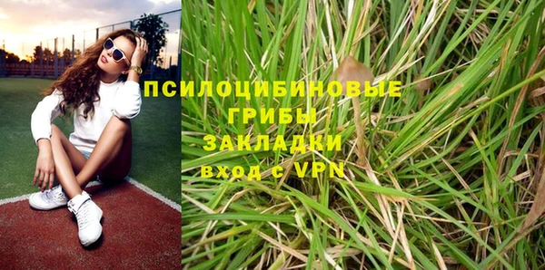 амф Новозыбков