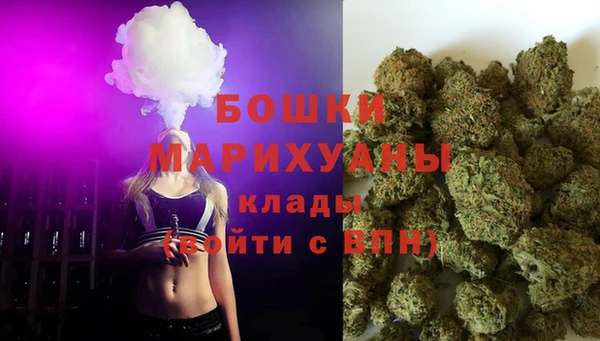 крисы Новокубанск